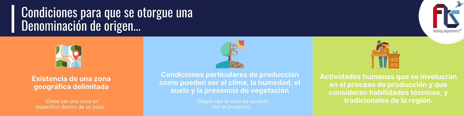 Denominación de origen_FTS