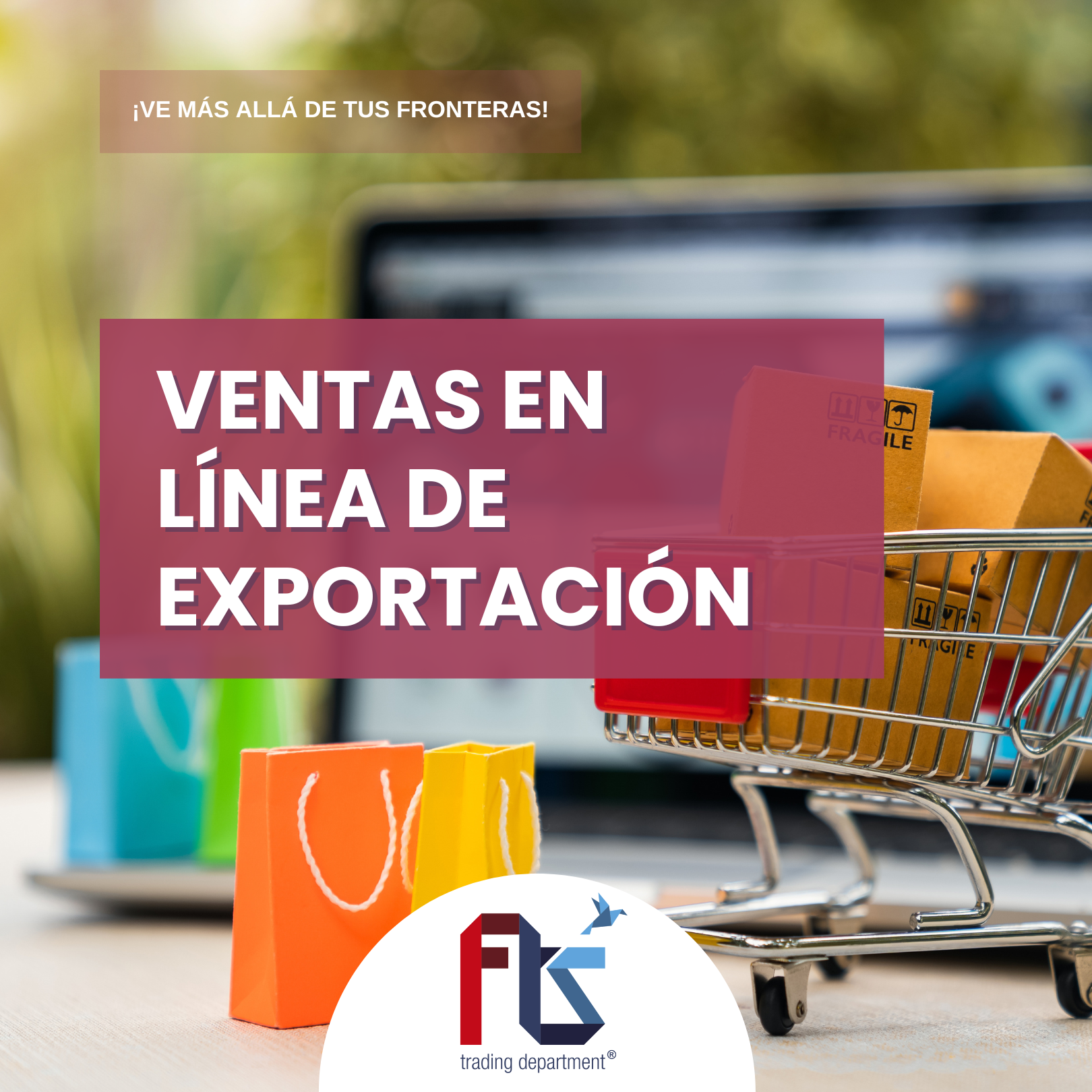 Experiencia de compra-2