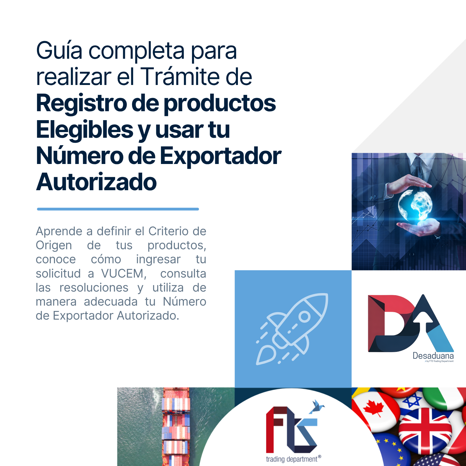DesaAduana Logo (1)